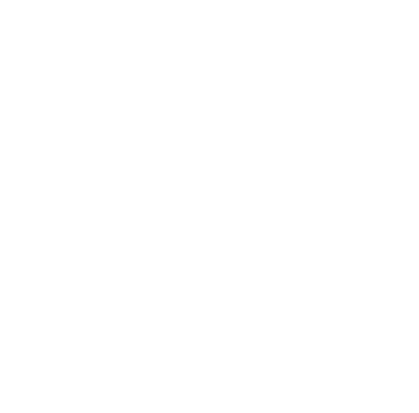 Struggle Bus Project